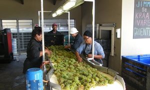  Wynuitstappie Duisend